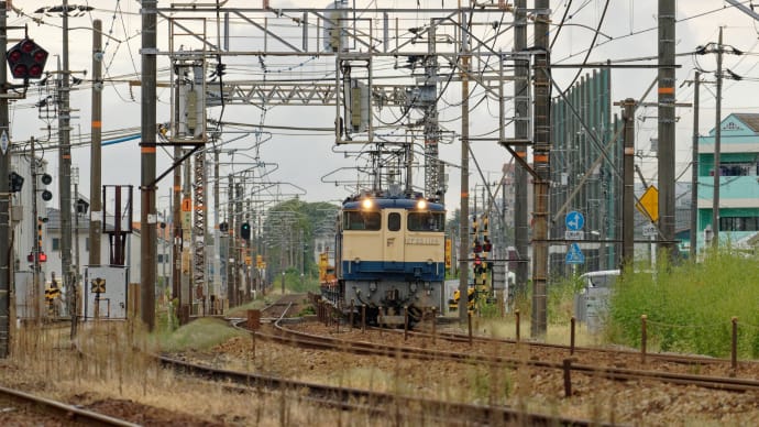 スポーツの日？の鉄道写真は