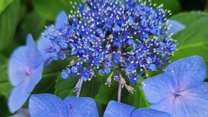 そういえば7月5日ナニも起こらなかったですね
