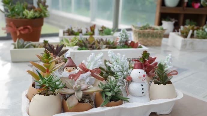 多肉の寄せ植え作品、展示中。