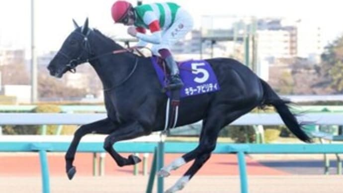 ホープフルステークス2021 最後も横山武史&キャロットファームが締めた!