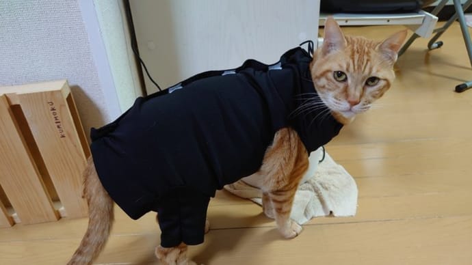 おにゅ~の服。