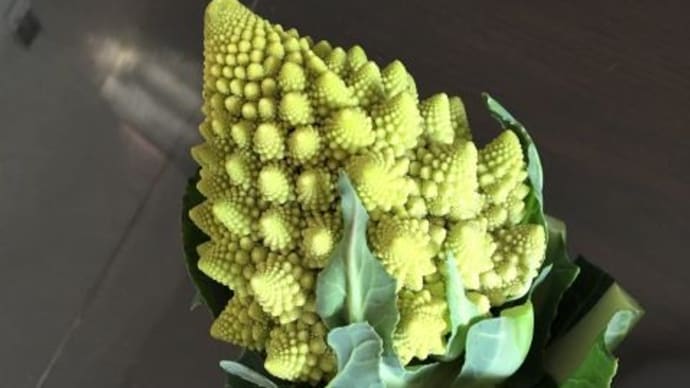 珍しい野菜