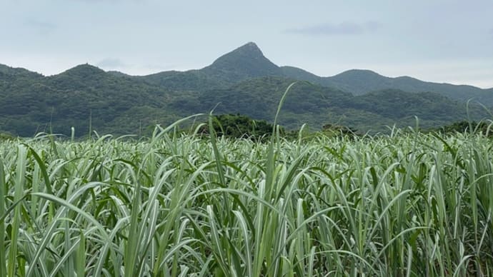 石垣島徒然 5
