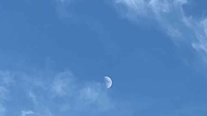 おでん