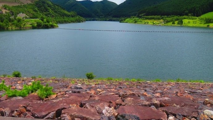 【#7月の4枚】せっかくの夏なのに