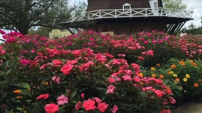 ふなばしアンデルセン公園 大きな風車と四季折々の花がいっぱい!