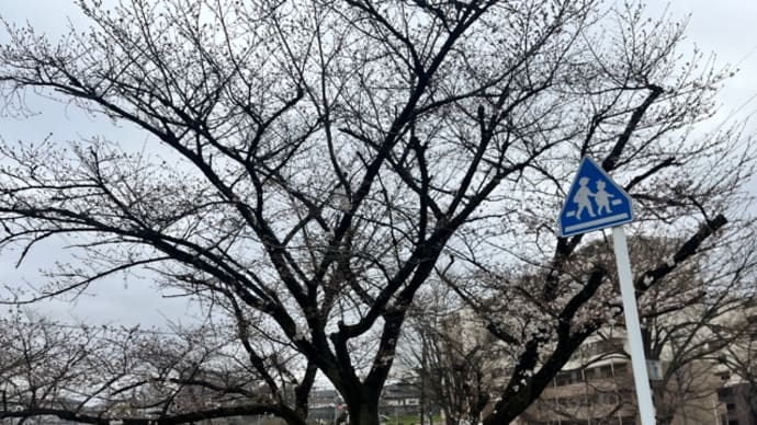 雨から始まる新学期&新年度…