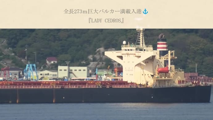 全長273ｍ巨大バルカー満載入港⚓『LADY CEDROS』