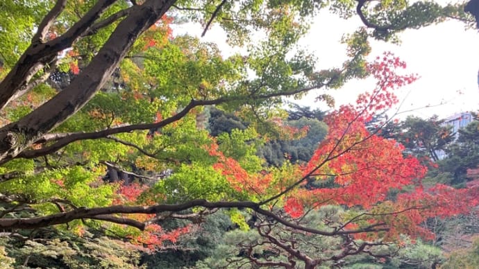 東京都庭園美術館