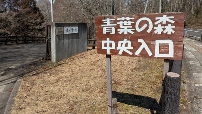 「青葉の森 歴史探訪東編」散策イベントに参加しました