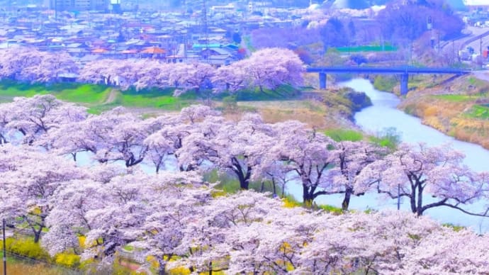 お気楽日常日記 窓から見た光景 舞い上がる桜♪♪