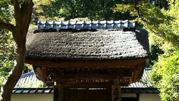 光と陰