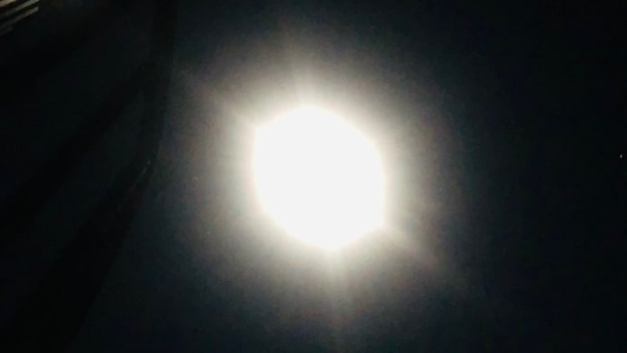 Star light, star bright,よいお年を!