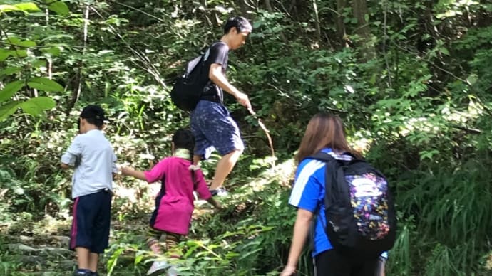 初めての山登り。