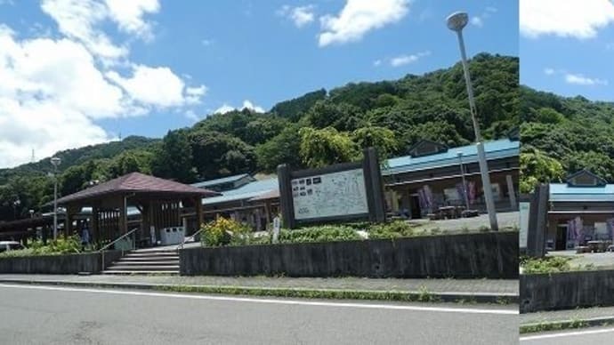 『月見の森』あじさい祭