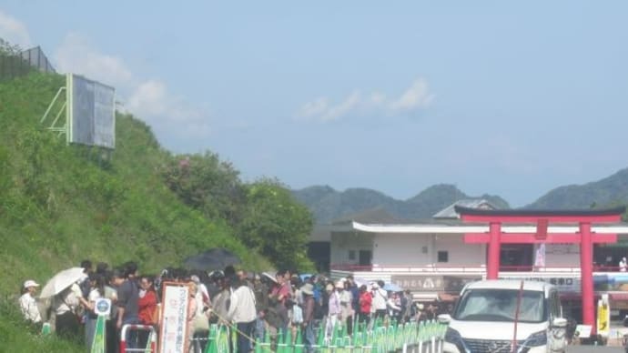 初夏の山、湖、海を巡る散歩を存分に楽しむ
