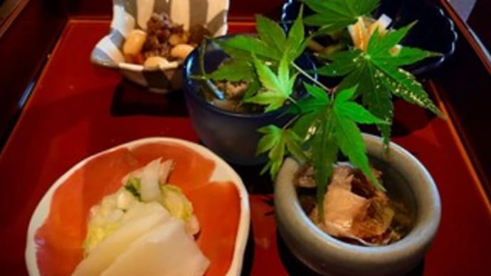 ★繊細な旬の料理で四季を感じでみませんか? 大推薦の「和食処 山ごぼう」