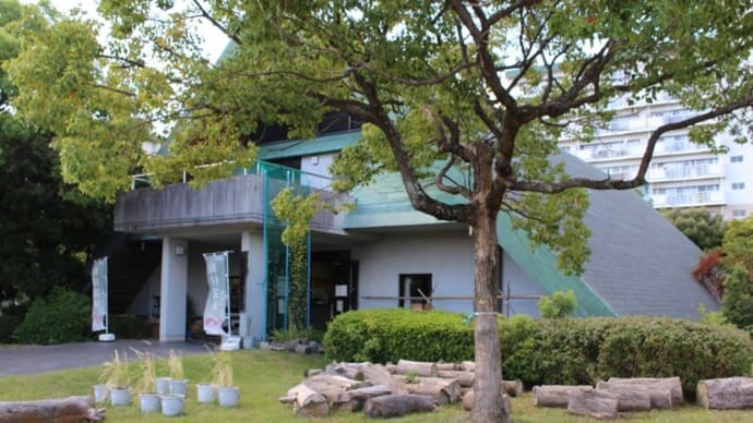 板付遺跡&弥生館(2)