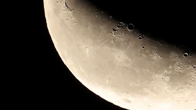 スピカ食!《 25日早朝、月がスピカを隠す恒星食があったのだ 》