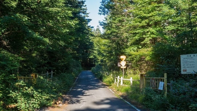 2021 富士山北麓 林道を実走する Ⅱ