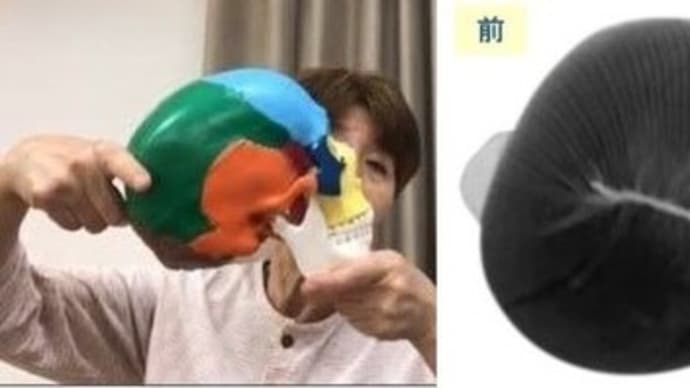 頭の形が気になる方へ