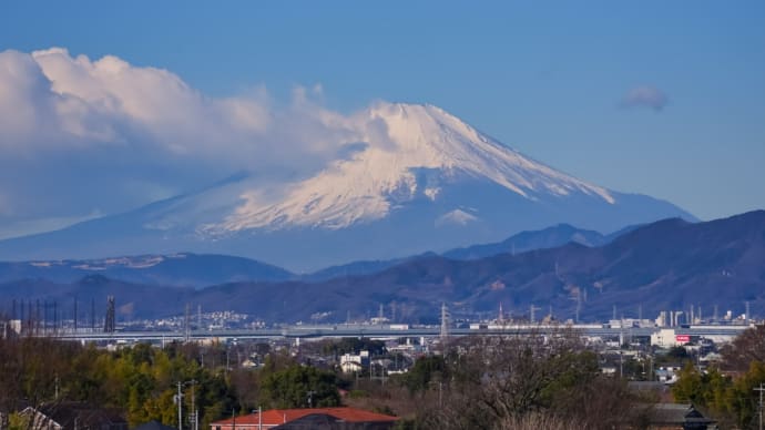 24/Feb 朝の富士山と枝垂れ梅とカワセミと旅客機とダイサギと稚鮎