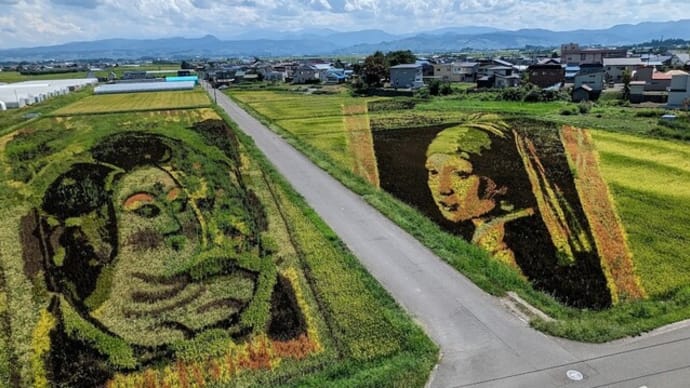田舎館村 田んぼアート
