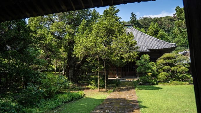 今更、再発見!【寿福寺~源氏山公園】政子と頼朝のディスタンス
