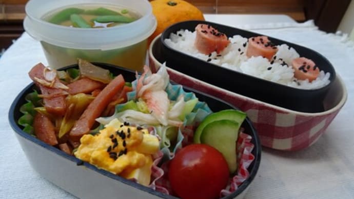 ボローニャソーセージと搾菜炒め物のお弁当と、またしても鎌倉