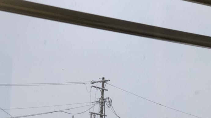 魔窟攻略計画