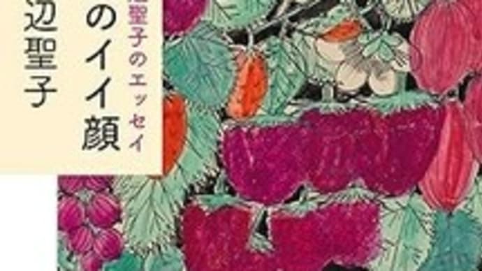 お母様のこと エッセイ『女のイイ顔』田辺聖子著