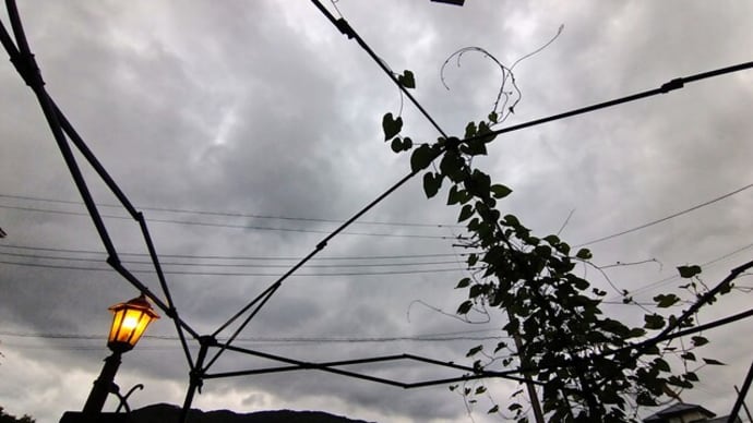 長袖の空