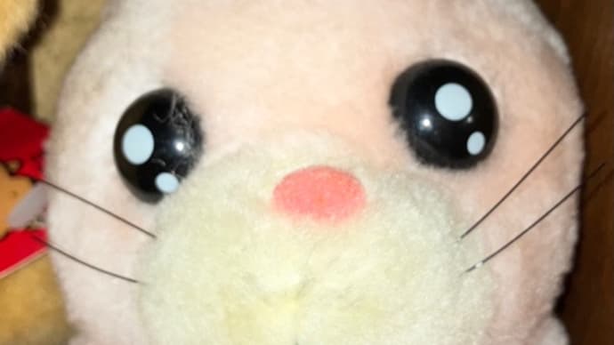 熱い視線を感じてしまった(^^)