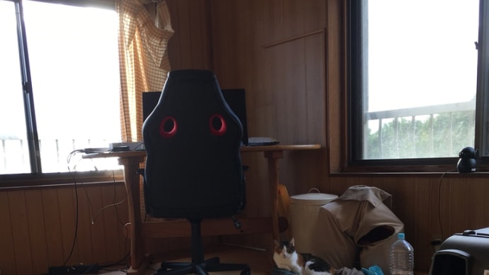 あけましておめでとうだニャン😸