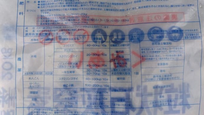 梅雨明けの熱帯低気圧