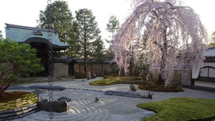 ２０２１年・高台寺の竜と夕桜と自然居士伝説　＠　京都妖怪探訪（７３３）