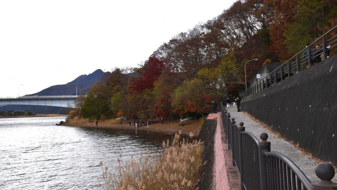 もみじ狩り 山梨県南都留郡富士河口湖町 第25回富士河口湖町紅葉まつり(4)小曲展望広場から産屋ヶ崎