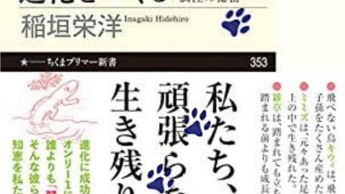 弱者こそが進化を支える〜個性と多様性こそが生き残る武器となる