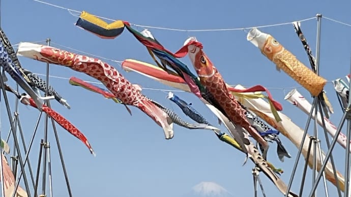 こどもの日 横須賀長井ソレイユの丘 May 2024