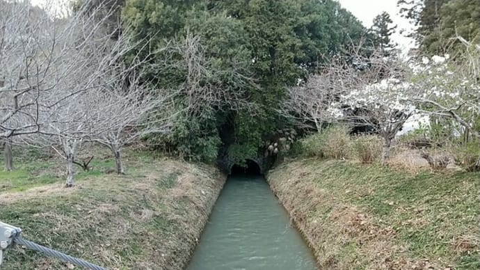 栃木県の神社 栃木市西方町本城 水神社