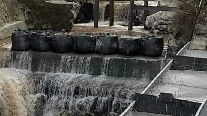 遊び心