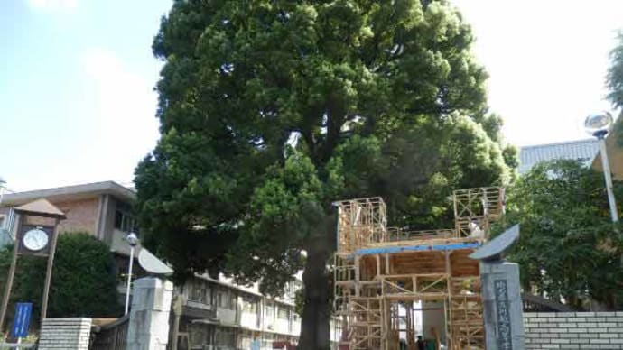 祭りの後(くすのき祭の片付)