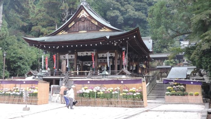 各神社の注連縄-日牟禮八幡宮