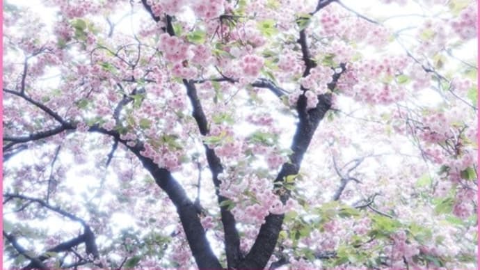 清明