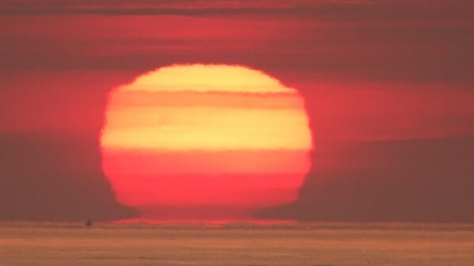 達磨太陽(朝陽) 2024年だるま朝日13号 5月30日