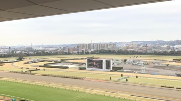 社台2歳馬 ブレッシングクライについて