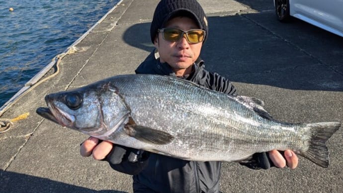 南伊豆 下流 今日の釣果