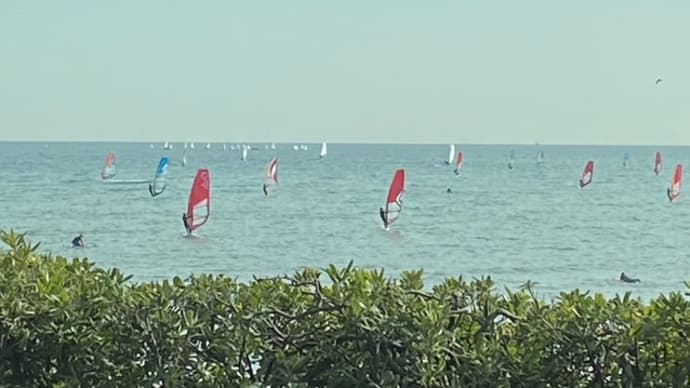 海を見たい