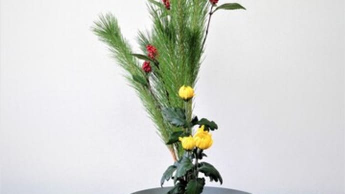 お正月花・松・梅・千両・縁起の良い花材で・・2023年が良い年になります様に