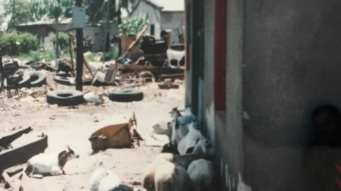 The survey of fire fighting situation & Waste disposal site in Tanzania (1/3)ODA / TICAD